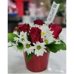 Seramik Saksıda 7 Gül