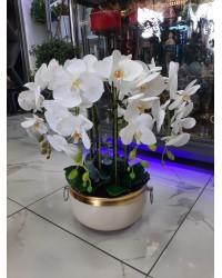 Dekoratif Tanzim Orkide - Beyaz